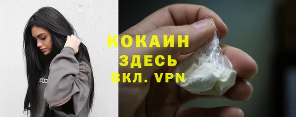 соль ск Алзамай