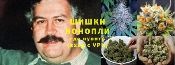 соль ск Алзамай
