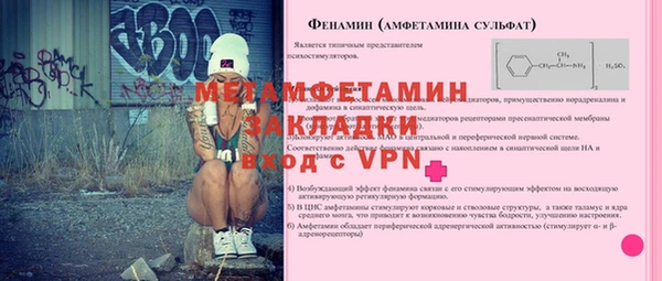 шишки Покачи