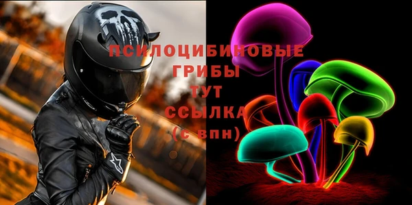 соль ск Алзамай